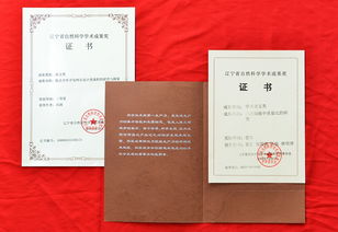 技術(shù)咨詢與社會服務(wù) 融合與賦能